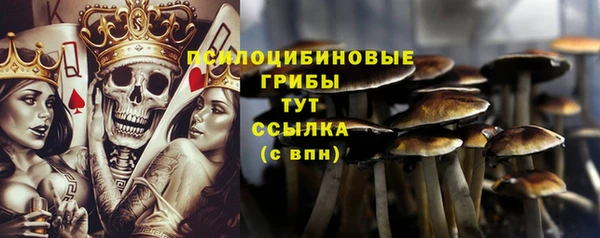 ешки Алзамай
