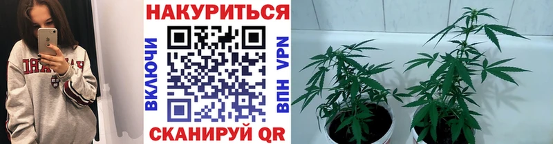 Каннабис OG Kush Аксай